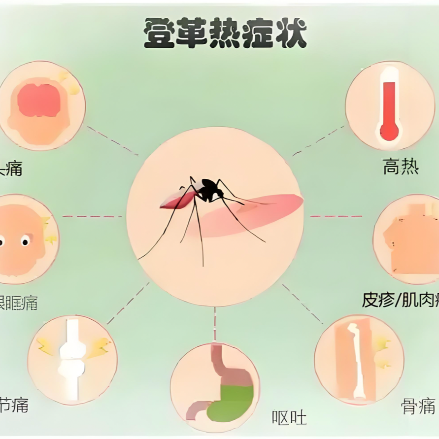 怀化市疾控中心发布健康提示：预防登革热，平安度盛夏