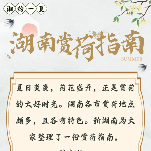 湘约一夏④｜收好这份湖南赏荷指南，伴着荷香走进夏天