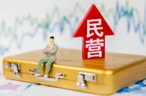 全国实有民营经济组织1.85亿户