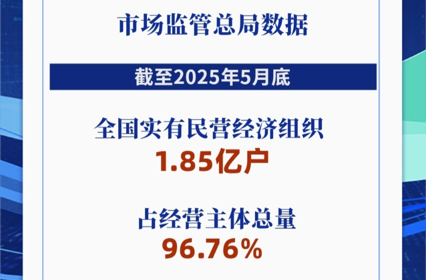 新华社权威快报丨全国实有民营经济组织1.85亿户