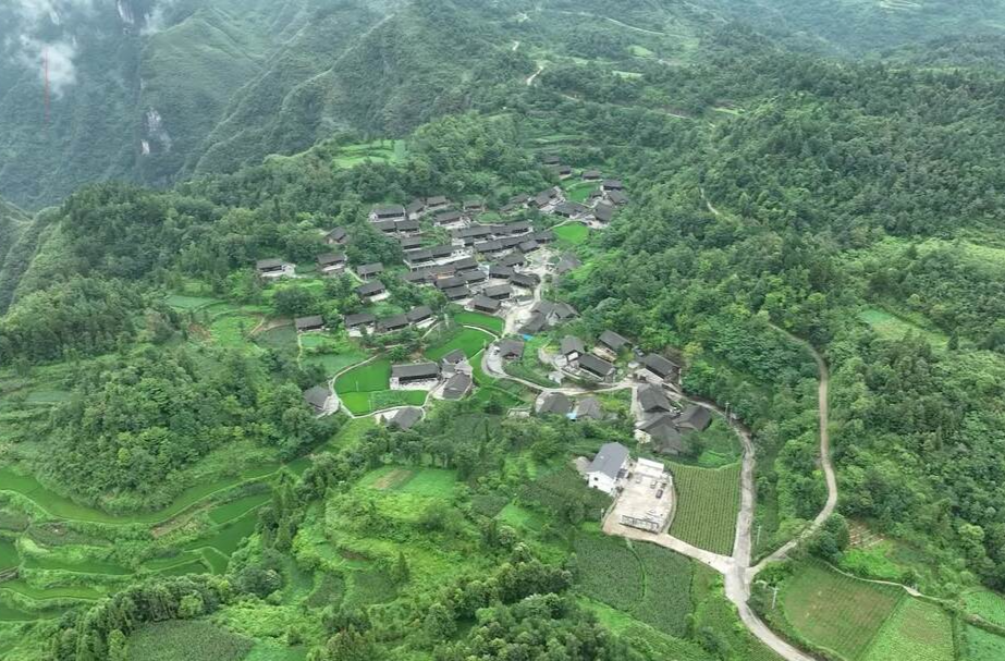 一颗高粱籽带动一个绿色产业链