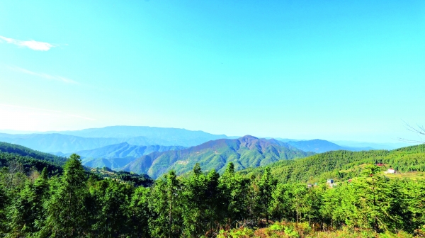 绿水青山里蹚出富民路——隆回县“四林”并举推进“生态秀县” | 湖南日报