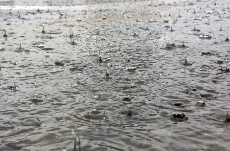 暴雨大暴雨再来袭！这里将成为强降雨核心区 7月初降雨高温形势有大转变