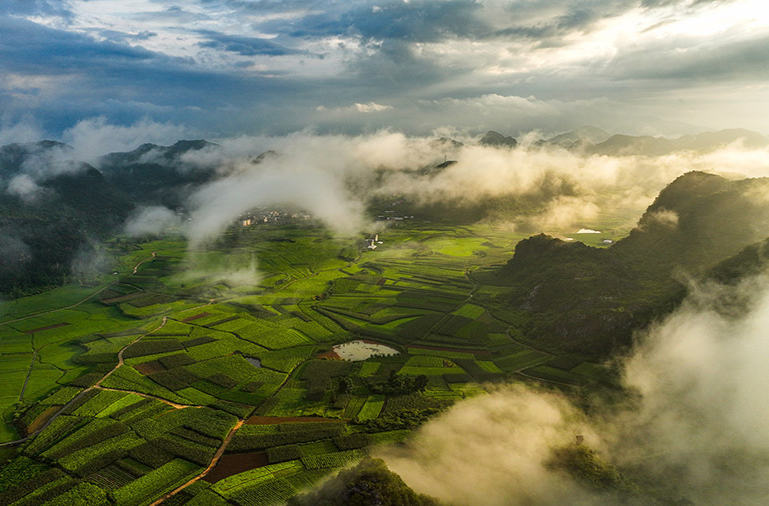 雨后青山入画来