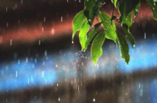 西南等地仍有强降雨 江南大范围高温闷热持续 周末天气→