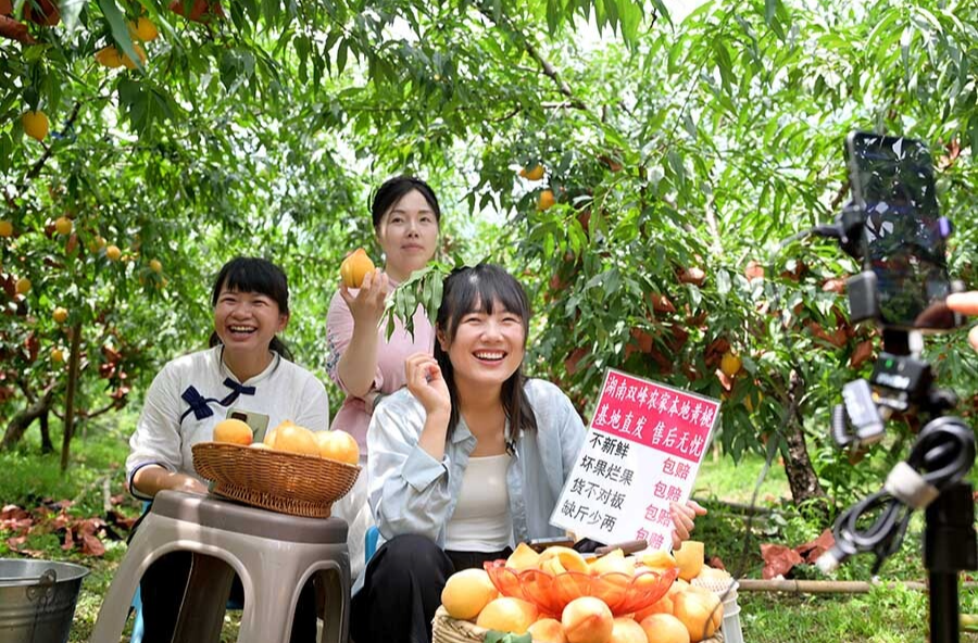 “电商快车”到桃园