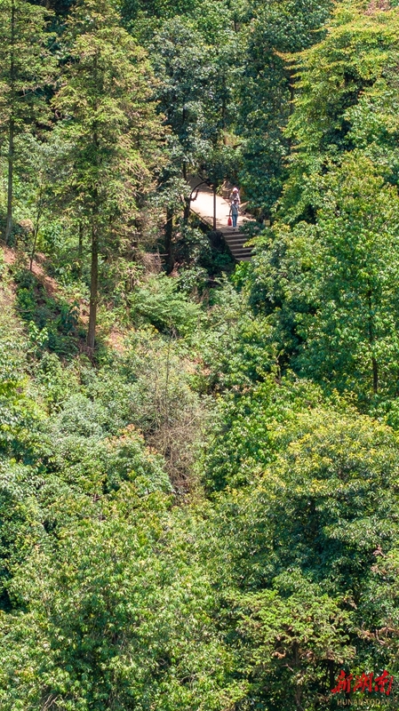 楚南圣地 云山旖旎