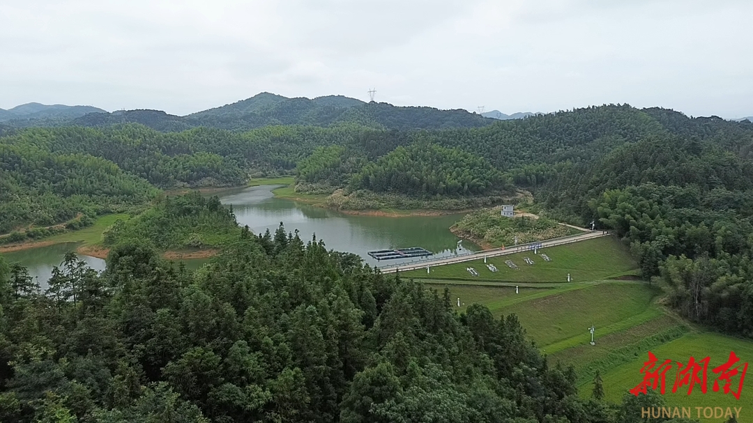 桃江：竹楼洞水库恢复通水 近4000亩稻田灌溉无忧