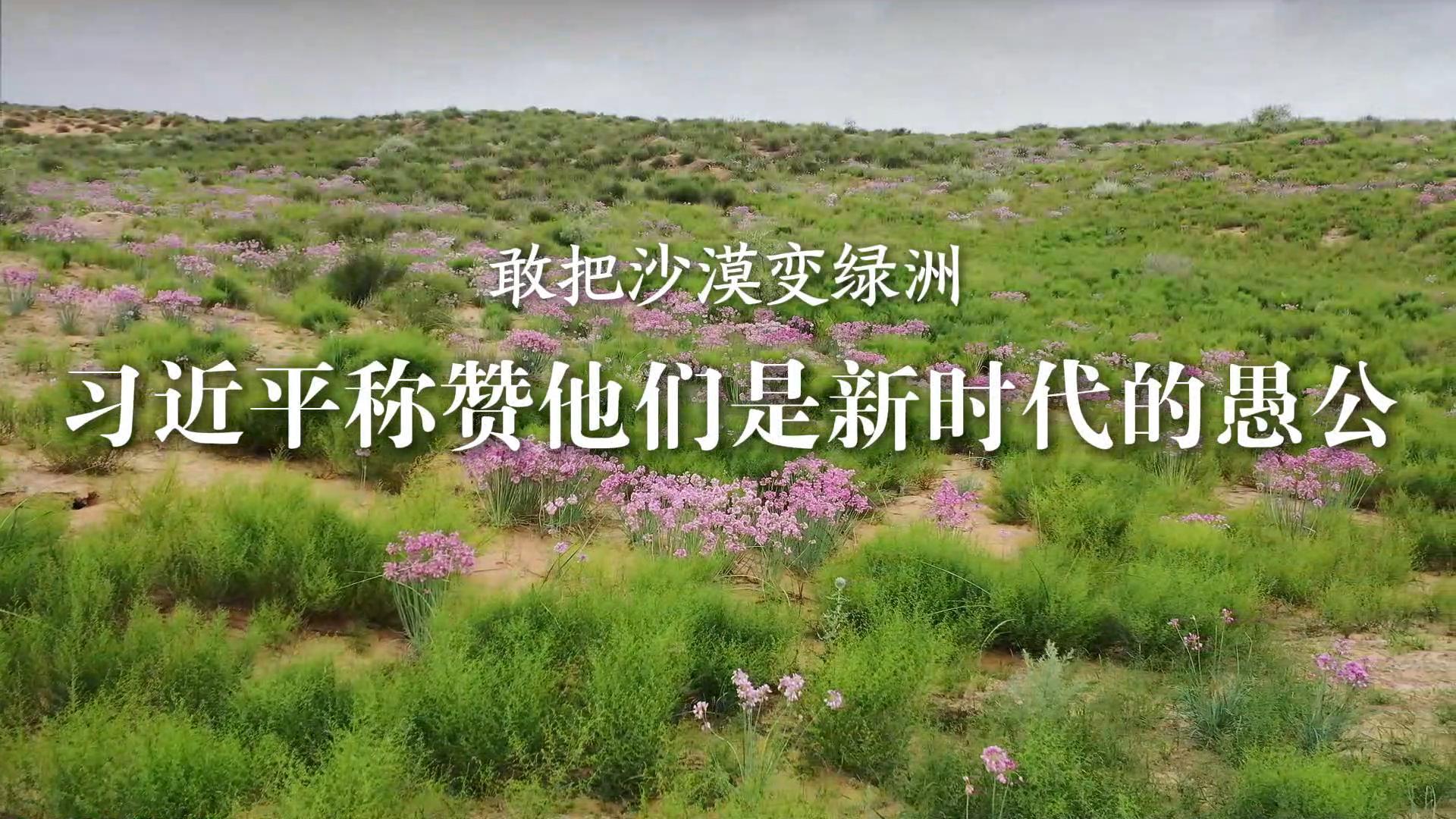 敢把沙漠变绿洲 习近平称赞他们是新时代的愚公