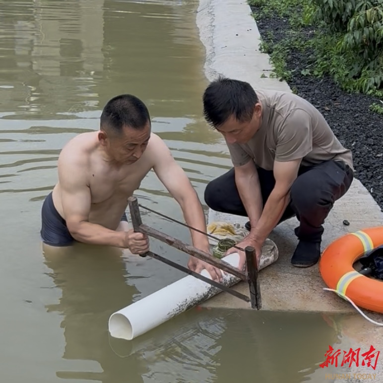 桃江：暴雨袭城鱼塘险溃 社区支书“深潜”排险 