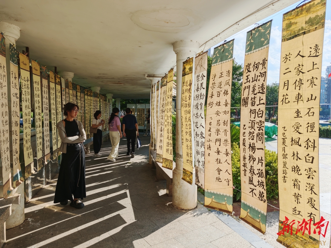 蓝山：书法公益培训作品展助力禁毒宣传