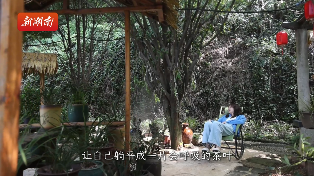 娄底研究所⑪丨禅意养心·归乡苑
