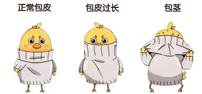 暑假割包皮现热潮 医生：并非所有“过长”都需手术