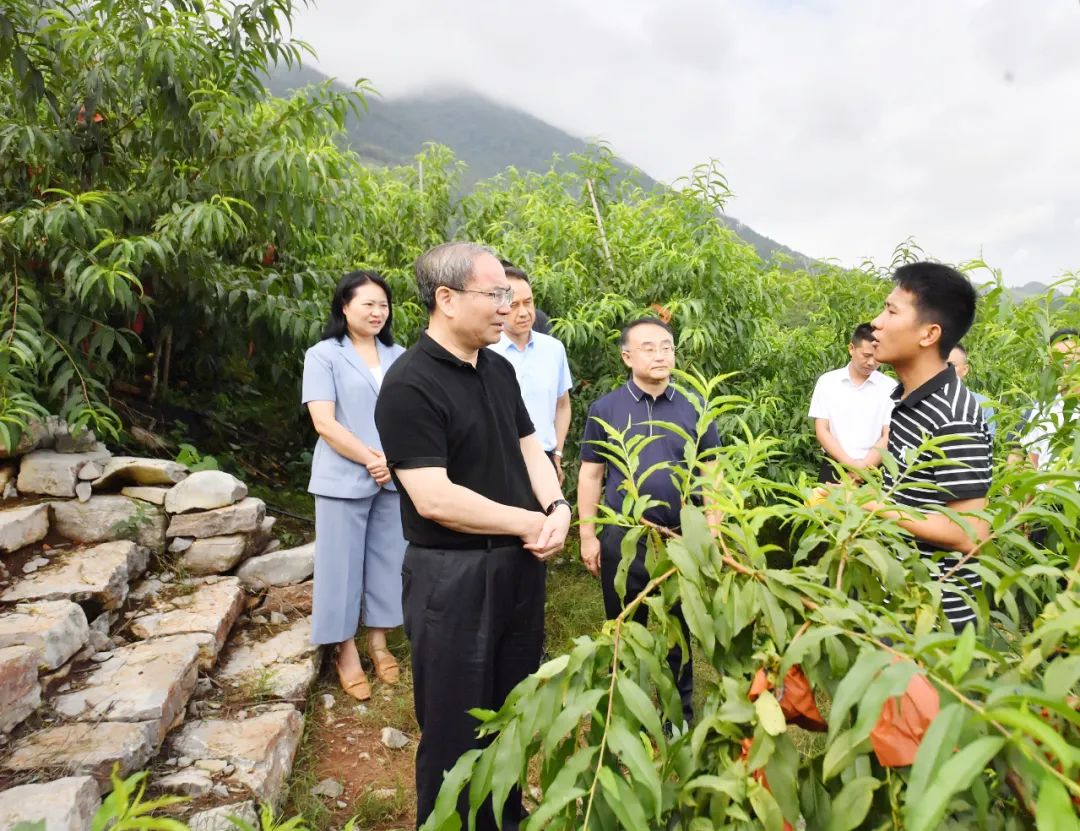 刘革安赴桑植县调研巩固拓展脱贫攻坚成果同乡村振兴有效衔接工作