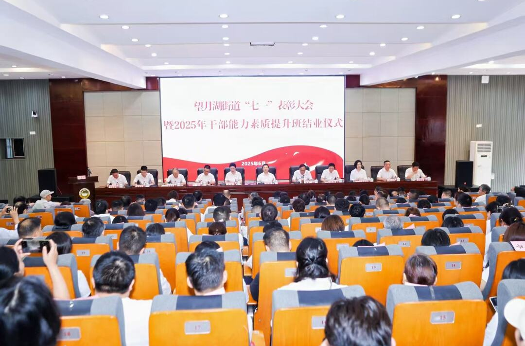 望月湖街道：慶七一表彰樹典范，強治理賦能啟新程