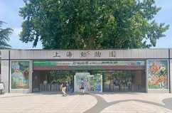 10月龄婴儿在展馆内喝奶瓶被赶，上海动物园致歉