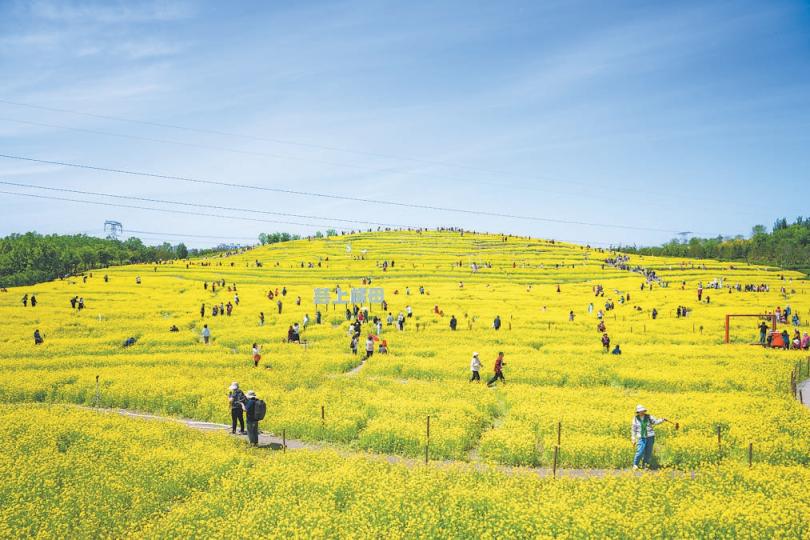 在北京這座“千園之城”：公園里裝著都市生活下半場(chǎng)