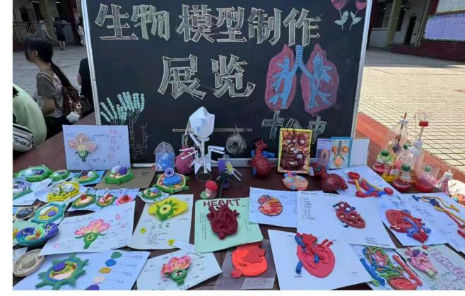 巧手探生命，创意展科学——郴州市第十八中学初中生物模型制作大赛圆满落