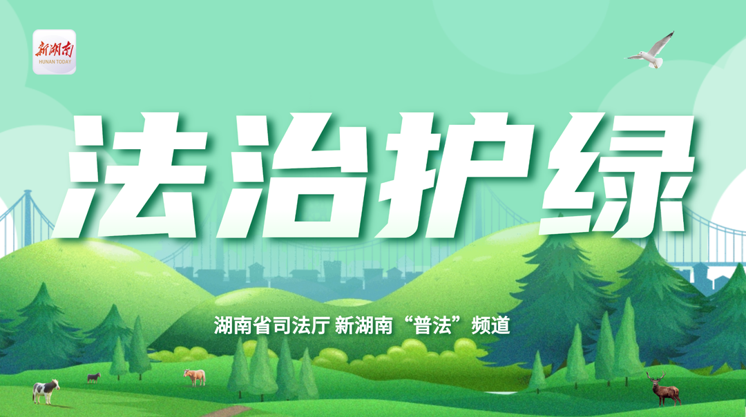 專題|法治護(hù)綠