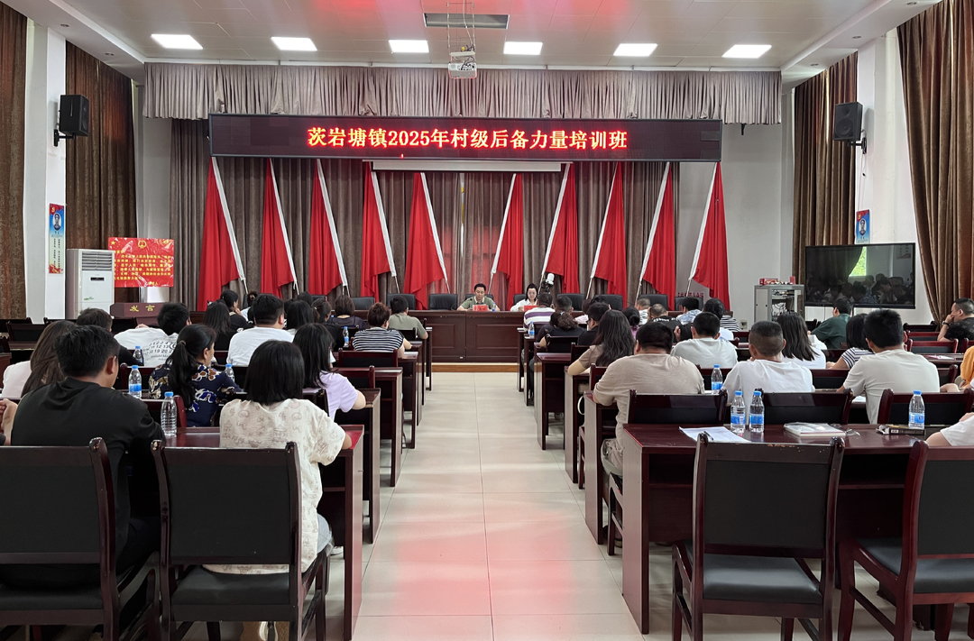 龍山縣茨巖塘鎮(zhèn)舉辦村級后備力量培訓班