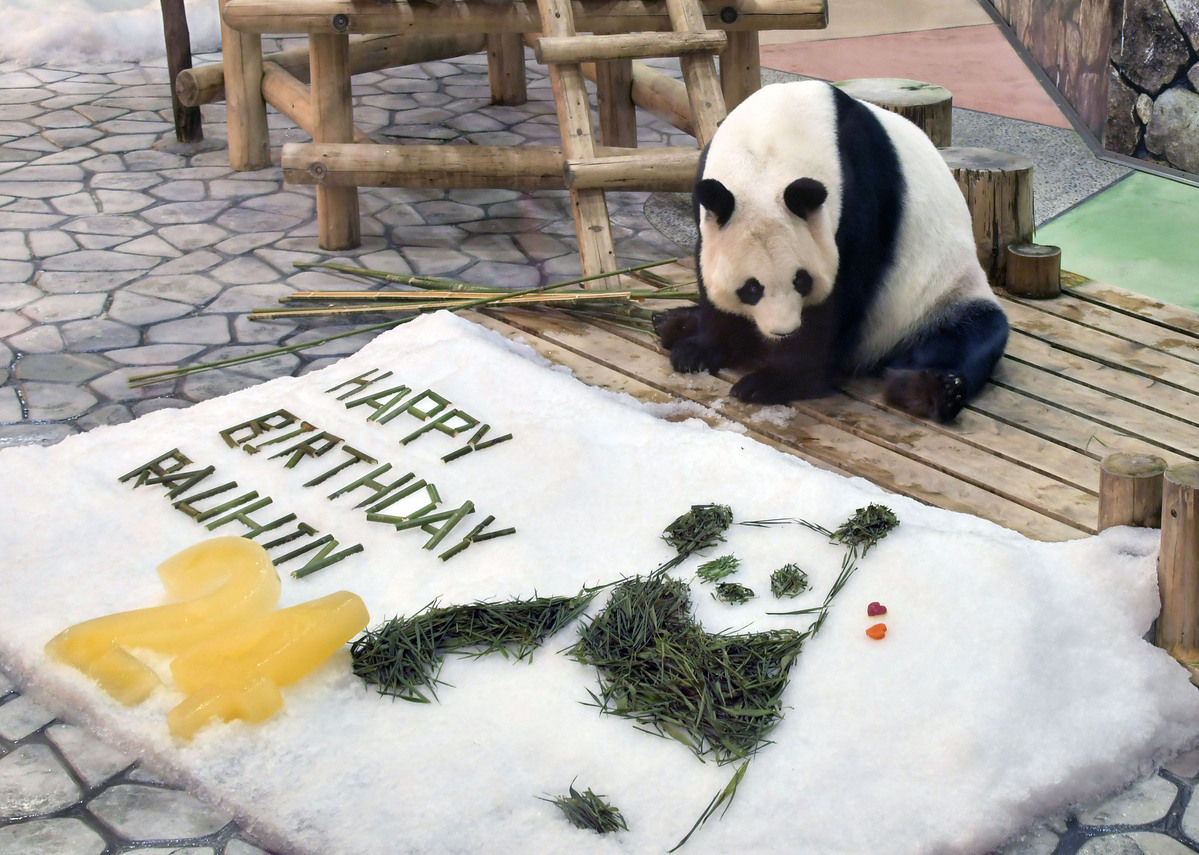 Giant pandas witnesses to friendship between peoples