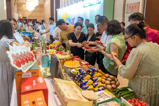 “甘味”乘风入湘来