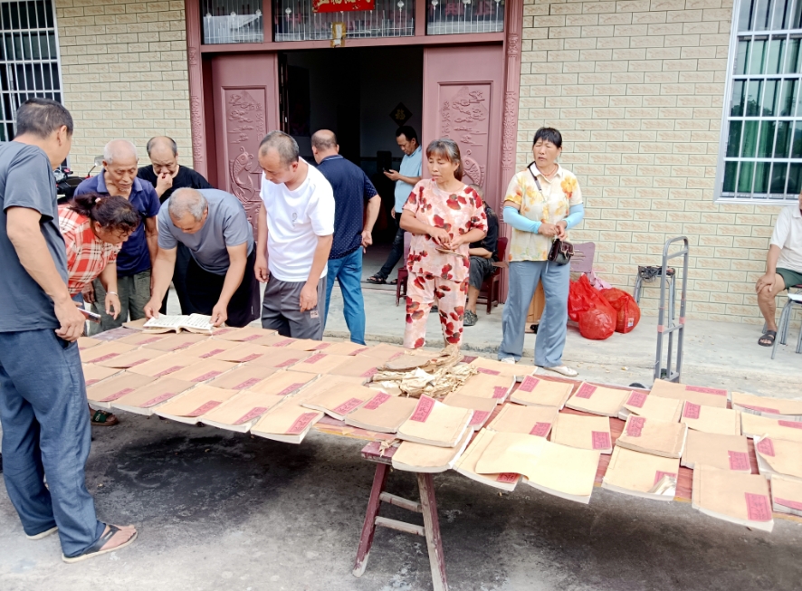 圖片新聞｜“六月六”曬家譜
