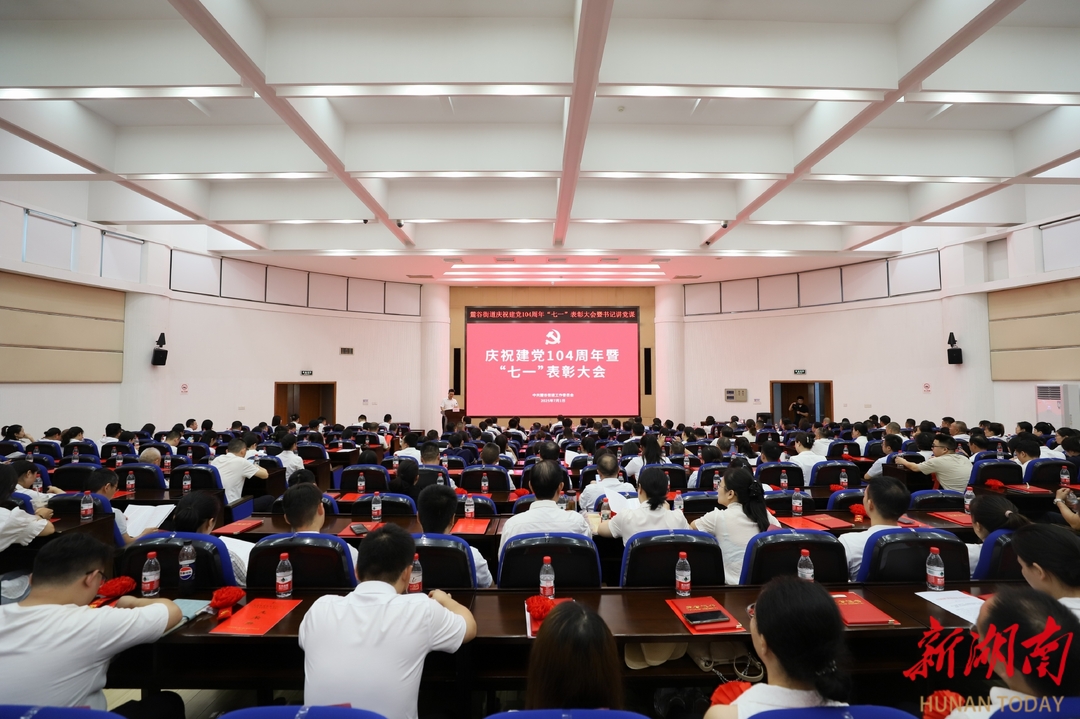 麓谷街道慶祝建黨104周年大會舉行