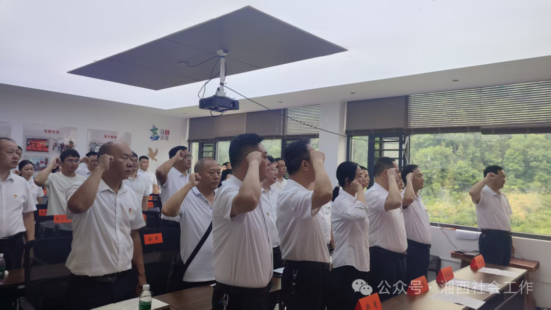 湘西州委社会工作部直属机关党委开展“七一”主题党日活动 推动机关作风建设走深走实