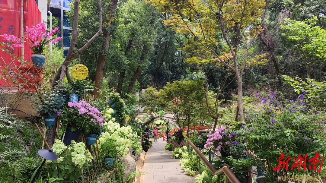 湘约一夏⑧|餐饮人“卷”成文旅人，美食+美景为湖南暑期旅游上大分