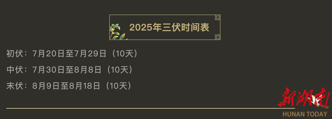 抓住這30天，為健康“貼”上保障！常德市第一中醫(yī)醫(yī)院冬病夏治三伏貼開始預約