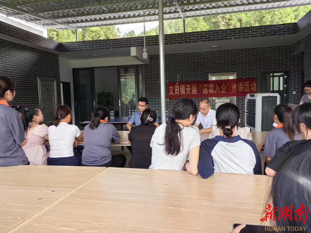 新化縣文田鎮(zhèn)進企業(yè)開展安全生產專題培訓