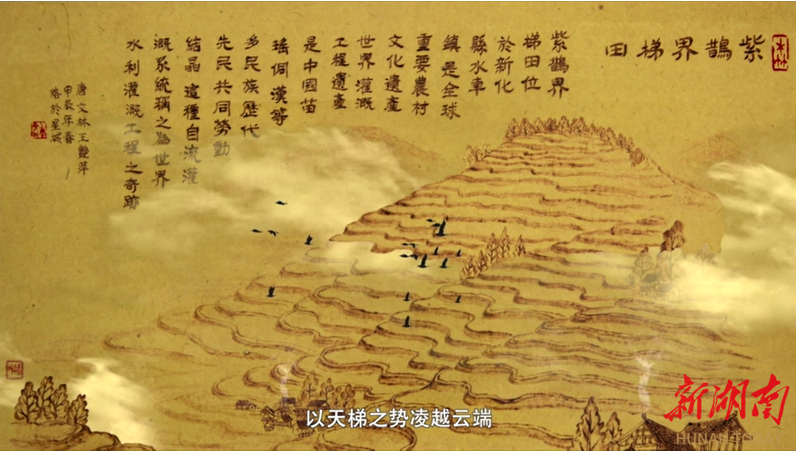 “詩畫瀟湘”AI視頻?｜烙筆舞墨，“燙”出紫鵲界梯田千年稻作文明