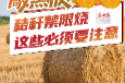 敲黑板！秸秆禁限烧，这些必须要注意
