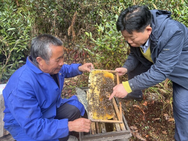 駐村一線顯擔當 | 共釀鄉(xiāng)村振興的“甜蜜事業(yè)” ——記全省擔當作為優(yōu)秀駐村第一書記、中國農(nóng)業(yè)銀行長沙分行陳學軍