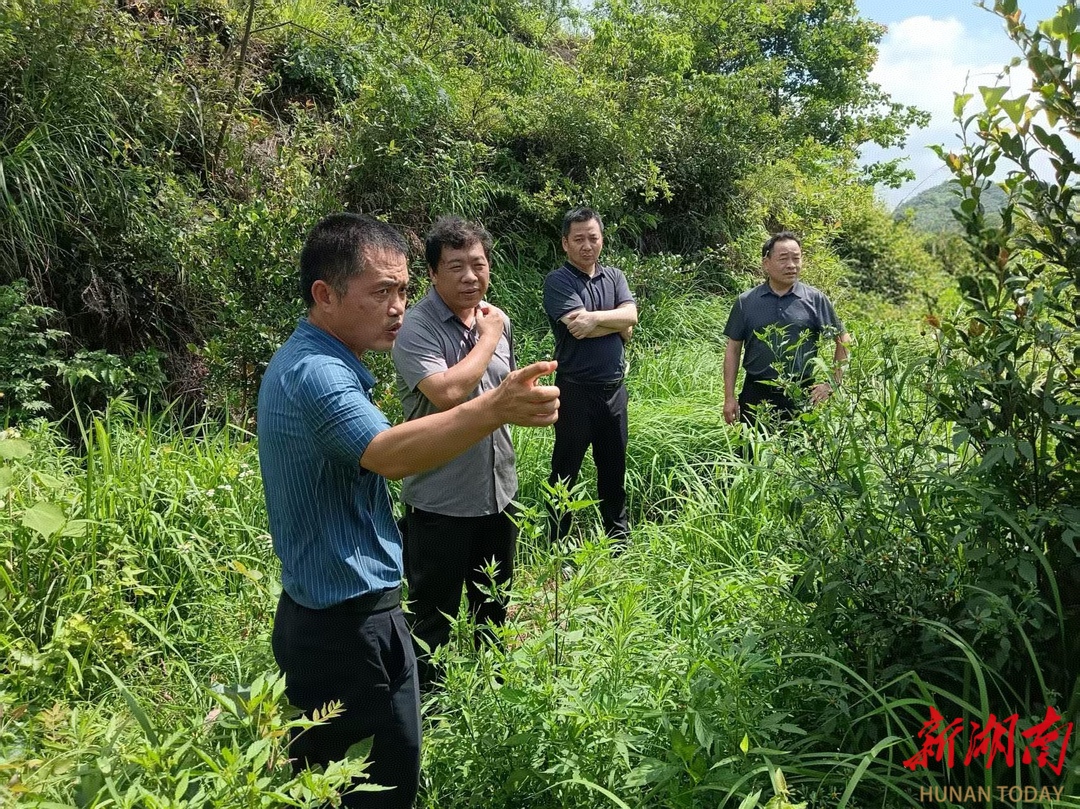 科技赋能  共促振兴——娄底市科技局到涟源市、新化县开展乡村振兴帮扶调研