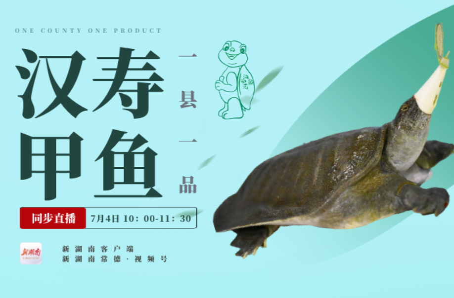 直播預告丨漢壽甲魚“甲天下”  4日，一起領略漢壽甲魚的傳奇