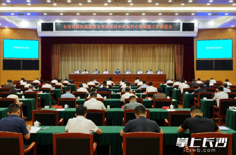 吴桂英：毫不松懈巩固拓展脱贫攻坚成果 不断提升有效衔接的质量和成色