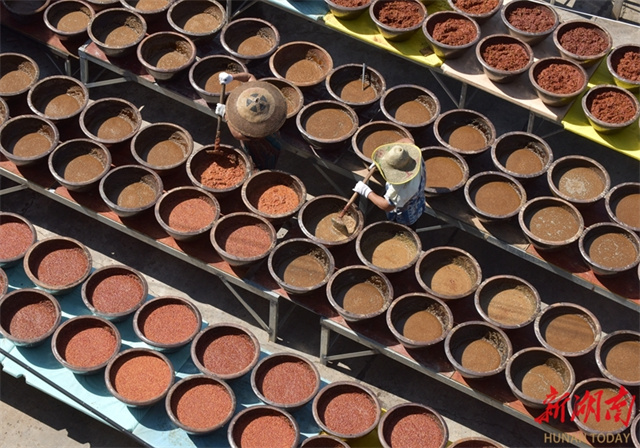 People Busy Making Yongfeng Chili Sauce in Shuangfeng County
