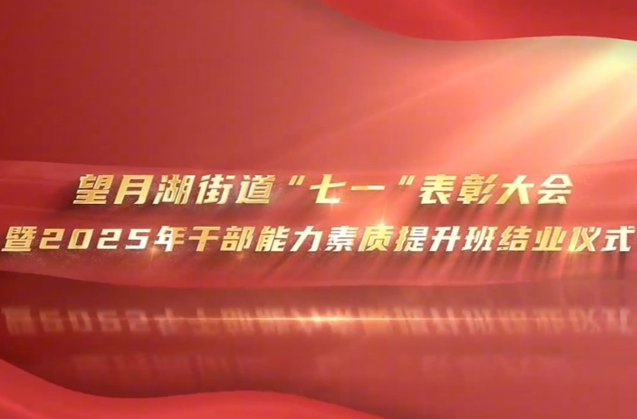 以“紅”鑄魂以“能”強基！望月湖街道“七一”活動激發(fā)黨員干部新?lián)? border=