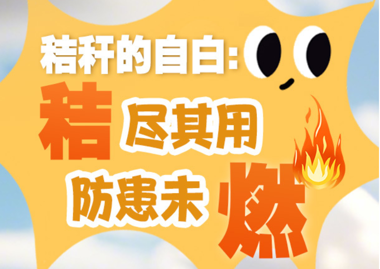 【AI圖解】我是一根小秸稈，我不愛(ài)“玩火”