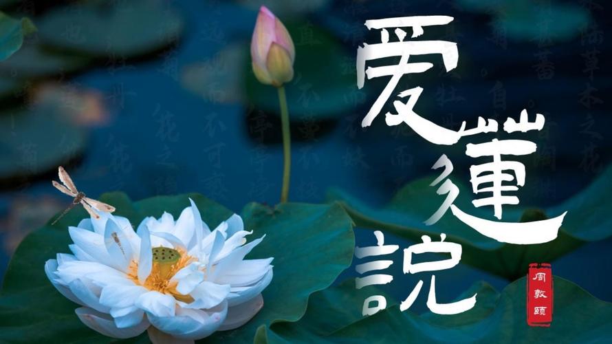 思想經(jīng)緯丨從《愛蓮說》看高校廉潔文化建設(shè)
