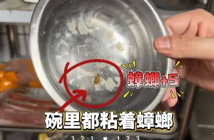 后廚成蟑螂窩？一知名餐廳又被曝光，當場立案！
