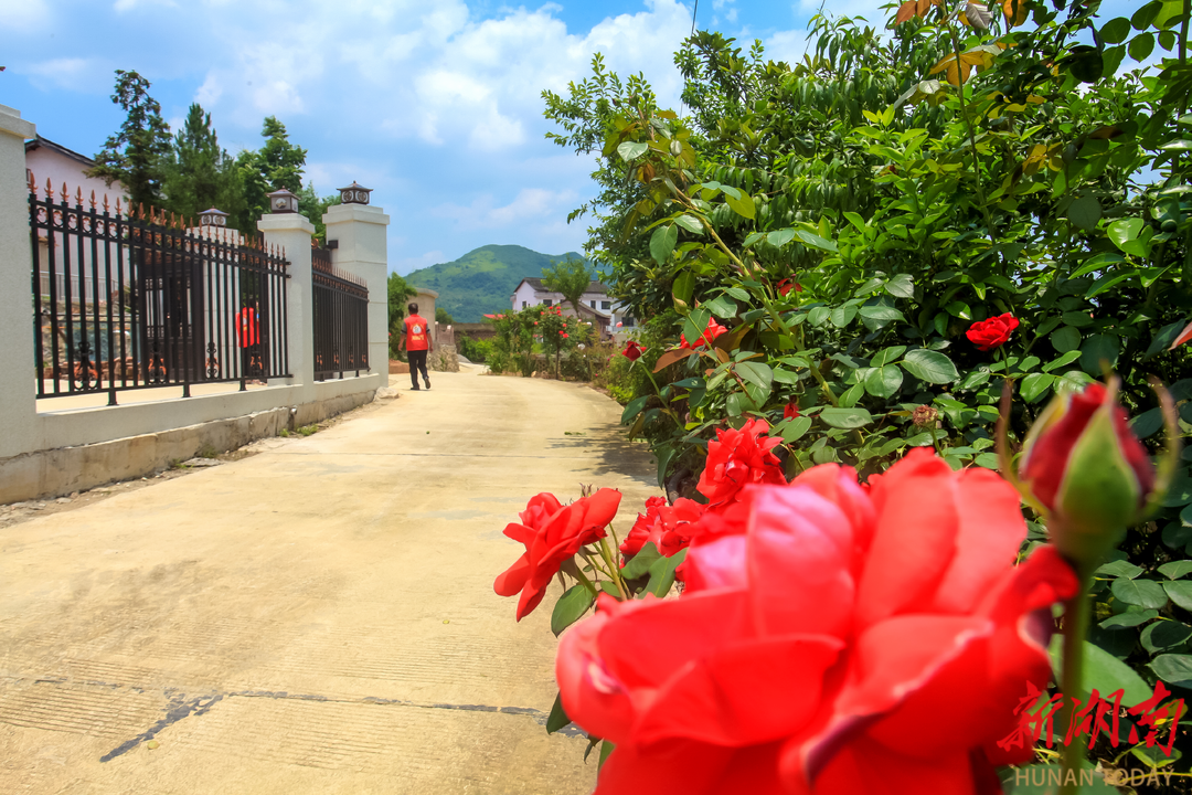 斗笠山鎮(zhèn)：黨群攜手，繪就人居環(huán)境整治“新圖景”
