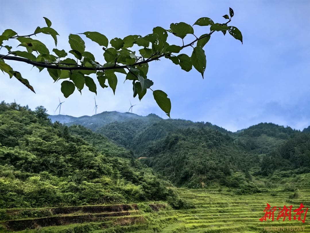駐村日記丨高源風(fēng)光美 “明珠”待點(diǎn)“金”