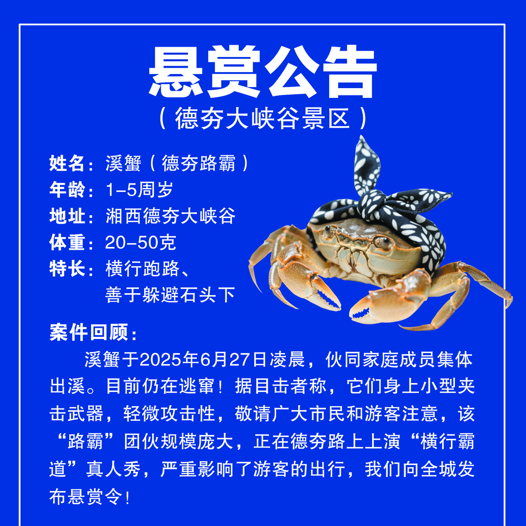 湘約一夏?|這個夏天，來湘西德夯與十萬溪蟹共享清涼