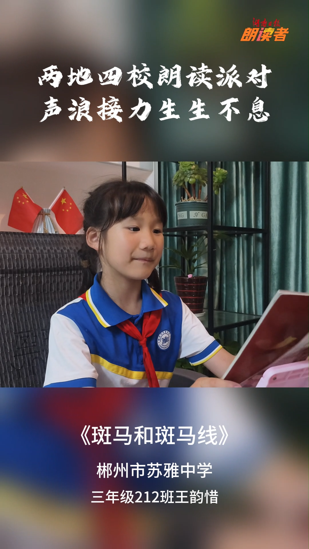 斑馬和斑馬線