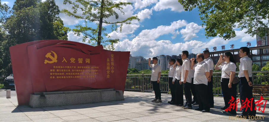正風(fēng)肅紀(jì)強(qiáng)作風(fēng) 砥礪前行勇爭先—農(nóng)發(fā)行淥口區(qū)支行開展廉政教育主題黨日活動