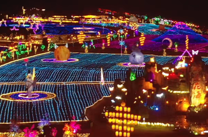 定了！7月5日，洞庭花海“汉寿之夜 · 国潮秘境”正式开园