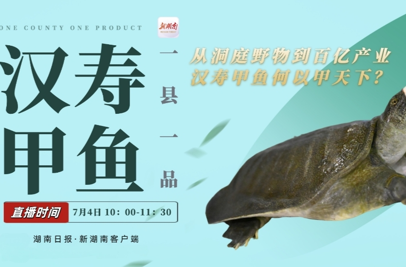視頻直播｜從洞庭野物到百億產(chǎn)業(yè)，漢壽甲魚何以甲天下？